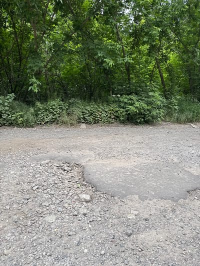 The image displays a horizontal view of a natural, rural setting in Zanky, Ukraine, bisected by a path.
The right side of the frame features a pathway composed mainly of light grey gravel and dirt. A prominent detail on this path is a large, irregularly shaped patch of darker, smoother, compacted material, possibly worn asphalt or a filled pothole, which stands out against the looser gravel surrounding it. The path appears well-used but unpaved or partially paved.
On the left side, the scene is dominated by a dense expanse of lush green vegetation. This includes numerous trees with visible branches and trunks, covered in vibrant green leaves, forming a rich canopy. Beneath the trees, there is a thick undergrowth of various bushes and plants, contributing to the verdant landscape. Small clusters of white flowers are faintly visible within the lower vegetation, adding a touch of detail to the verdant growth.
The lighting suggests it is daytime, likely late morning or early afternoon, with bright and clear weather conditions, as evidenced by the even illumination and lack of harsh shadows. No people or animals are visible, and no specific activity is taking place, creating a tranquil and untouched atmosphere. There is no discernible text within the image.