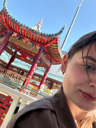 A close-up selfie captures a person in the foreground against the backdrop of a vibrant, traditional East Asian-style pagoda or pavilion. The person, a female, is visible on the upper right and top of the frame, showing her forehead, right eye, ear, nose, mouth, and chin. She has light skin, dark hair, and her right ear features an earring with a small blue stud and a longer, rectangular, possibly jeweled piece. She is wearing a dark, collared shirt.
The architectural structure dominates the lower and left-center of the image. It showcases a multi-tiered roof with distinctive red and green tiles, complemented by ornate red pillars. Golden panels adorned with intricate patterns and script-like characters are visible on the building's facade. Inside, a red lantern hangs amidst the detailed latticework. Decorative elements in shades of blue/purple and green add to the building's colorful aesthetic. The structure's spired top, featuring spherical ornaments, is visible against a clear blue sky. A tall, white pole or antenna extends into the sky on the upper left.
The scene is set outdoors under bright daylight, indicated by the clear blue sky and strong illumination. The overall impression is that of a travel photo or a visit to a culturally significant site. Given the context of Hainburg an der Donau, Austria, this building likely represents a specific landmark, such as a pagoda, situated within that European location.