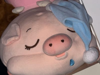 A close-up image of a pink stuffed animal pig wearing a blue sleeping cap. The pig's eyes are closed and its nose has two heart-shaped nostrils. A blue teardrop is stitched near its mouth. The location is not discernible from the image.