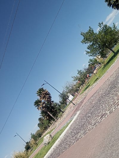 The scene depicts an outdoor urban or park environment in La Venta, Mexico, observed on a clear, sunny day from a tilted perspective. The upper third of the frame is dominated by a bright blue sky, crossed diagonally by multiple thin, dark power lines. The lower two-thirds display a paved area consisting of a reddish-brown path alongside a section of lighter, irregularly patterned paving stones. These paved surfaces are bordered by green grass strips and various vegetation, including several tall palm trees with visible trunks and fronds, and numerous deciduous trees with dense green foliage. At least two black, modern-style streetlights with visible luminaires stand along the paved paths. A large, light-colored rock or boulder is visible within a grassy area in the mid-ground. In the far background, faint structures or colorful elements are discernible beyond a stretch of water or open land. No human or animal subjects are present.