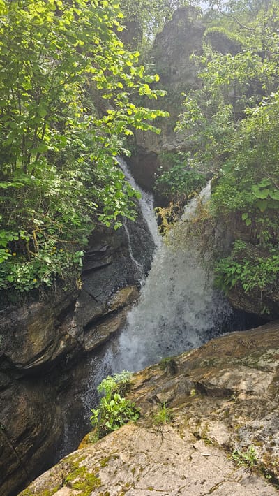 This image depicts a narrow, verdant gorge with a waterfall cascading over rocky ledges. Lush green foliage, including trees and smaller plants, flanks the waterfall and the rocky sides of the gorge. The sunlight filters through the leaves, creating dappled light on the scene. The water is white and frothy as it descends. The rock formations appear to be a mix of dark and lighter-colored stones, with some moss and smaller vegetation growing on them. The bottom of the gorge is not fully visible, but appears to be a darker, possibly deeper area where the water collects. The scene is dominated by natural elements, with no human presence or man-made structures immediately evident. The environment suggests a secluded, natural setting, potentially a hiking trail or a natural reserve. The city of Красный Курган, Russia, is known for its mountainous terrain and natural beauty, which aligns with the scenery presented in the image.