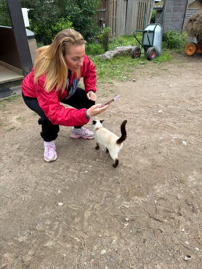 A woman with blonde hair is crouching down to interact with a Siamese cat. She is wearing a red jacket, black pants, and pink sneakers. She is holding a pink cell phone in her right hand, and the cat is looking up at her. The cat is predominantly white with brown points on its ears, face, and tail. The scene takes place outdoors on a dirt path, with a building and greenery in the background. The location is identified as Лемболовская Твердыня, Russia. Other objects visible in the background include a wheelbarrow and hay.