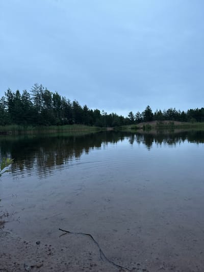 This media file displays a landscape scene, primarily focused on a body of water and its reflection. The image is oriented vertically, with the top of the frame showing a pale, overcast sky. Below the sky is a dense line of dark green trees, which appears to be a forest. This forest is mirrored in the water, creating a symmetrical reflection. The water's surface shows ripples, distorting the reflection of the trees and the sky. The bottom of the frame includes a sandy or pebbly shoreline, with a few small twigs and debris visible.
The scene suggests an outdoor location, possibly a lake or a slow-moving river, given the calm water and the surrounding vegetation. The lighting indicates it's likely early morning or late evening, with the overcast sky contributing to a diffused, soft light. There are no people or discernible objects other than natural elements like trees, water, and shore. The atmosphere appears tranquil and natural. There is no visible text in the image.