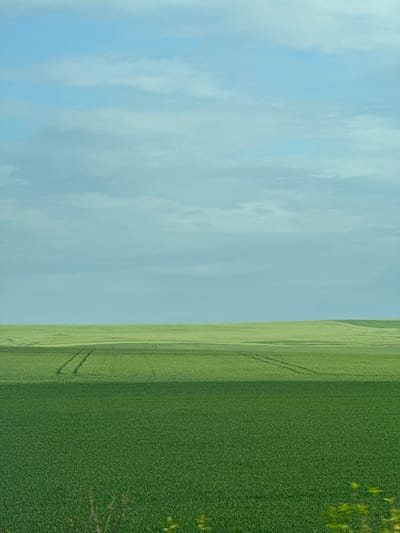 The image shows a landscape divided between the sky and a field. On the left side, the sky appears light blue with scattered clouds. On the right, there's a field covered in dense green vegetation. A darker green area with some sparse trees borders part of the field. Tyre tracks are visible within the field, suggesting some kind of vehicle has passed through it.
There is no location information for Vratitsa, Bulgaria.