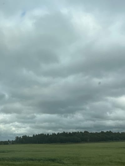 The image shows an overcast sky with dramatic, textured clouds in shades of gray and white. The clouds are layered and appear to be moving, creating a sense of depth and movement in the sky. To the right of the frame, a dark line of trees forms the edge of a forest. Beyond the trees, a vibrant green field stretches out, possibly a meadow or a cultivated area, with visible rows suggesting it has been recently mowed or planted. The overall scene suggests an outdoor setting, likely in a rural or natural environment. The lighting indicates it is daytime, but the heavy cloud cover suggests overcast or possibly stormy weather. No people, objects, or text are visible in the image. The orientation of the image is vertical.