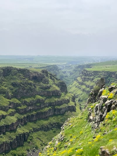 This image depicts a landscape in Artashavan, Armenia. It shows a steep, terraced cliffside with green grass and some yellow wildflowers growing on the rocky terrain. In the distance, there is a flat green valley and what appears to be a settlement. The sky is overcast.