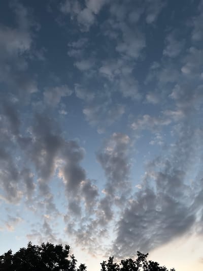This media file captures a view of the sky with scattered clouds from a low angle, likely looking upwards. The sky transitions from a deep blue on the left to a lighter, hazy blue towards the right, suggesting either late afternoon or early morning light. The clouds are varied, with some appearing as small, fluffy white puffs and others as larger, darker formations that hint at potential rain or a storm. On the far right side of the image, the silhouette of dark green foliage from a tree is visible, its branches reaching into the frame. This detail suggests the photo was taken outdoors, possibly from a garden or park. The overall mood is serene and contemplative, with the play of light and shadow on the clouds creating a dynamic yet peaceful scene. There is no visible text in the image. The location context provided is Topolchane, Bulgaria.