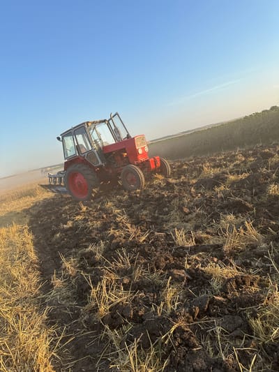 A red tractor with a glass cab is plowing a field under a clear blue sky. The tractor is angled, with its front wheels turned slightly. The field is a mixture of dark soil and dry straw, with furrows visible from the plowing. In the background, there is a line of green crops and the hazy outline of distant trees. The sun appears to be low in the sky, casting a warm glow on the scene, suggesting it is either early morning or late afternoon. The action depicted is agricultural work. This scene is located in the village of Slivo Pole, Bulgaria.