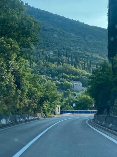 The image captures a scene from Palje Brdo, Croatia, depicting a winding road alongside a steep, forested hillside. The road occupies the right side of the frame, showing a gray asphalt surface with a white lane divider. A roadside barrier or wall lines the road's edge. The left side of the image showcases a heavily wooded hillside with various trees and vegetation. A few tall, slender trees stand out amidst the greenery, possibly cypress trees. A light-colored structure, likely a house or building, is partially visible among the trees. The sky appears overcast.