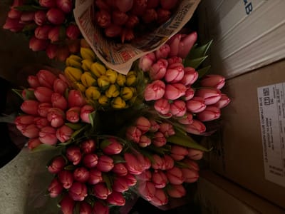 The image displays a close-up view of numerous bundled tulips in an indoor environment within Trudobelikovskiy, Russia. The primary subjects are multiple bouquets of pink and red tulips, tightly arranged, alongside a distinct central cluster of yellow tulips. The flower bundles are largely wrapped in clear plastic sheeting, with some also utilizing newsprint or similar paper. To the right, two brown cardboard boxes are visible. One box bears a white label indicating "LD AUTOGRAPH CLUB COMPACT BLUE," product number "8327020 10.000M," a maximum retail price of "163 p" (rubles), and a date stamp of "30.06.2021." The scene is uniformly lit with dim, ambient light. No individuals or active interactions are present.