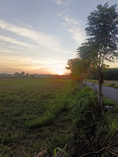 The image depicts a rural scene in Sumbokrayek, Indonesia at sunrise or sunset. A green field occupies the left of the frame, transitioning to a row of trees along a narrow asphalt road on the right. The sky displays colors of the setting or rising sun. Power lines are visible.