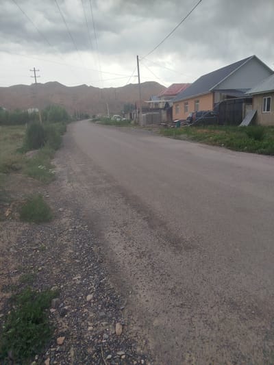The image depicts a rural street scene in Naryn City, Kyrgyzstan, under an overcast sky. A paved road, appearing somewhat worn, dominates the foreground and mid-ground, curving gently to the right. The road's surface is a mix of asphalt and gravel. The left side of the road is lined with sparse green vegetation and patches of rocky ground, with some small white wildflowers.

On the right side of the road, a row of houses is visible. These are modern-looking buildings with pitched roofs, some clad in metal and others painted in muted colors like orange and beige. The architecture suggests a residential area. Several vehicles are parked in front of the houses, including a white SUV and a darker-colored van. In the background, a range of rolling, barren hills forms the horizon, their slopes a dusty brown. Utility poles with power lines are scattered throughout the scene, stretching across the sky and over the road, indicating infrastructure present in the area.

The weather appears to be cloudy, with a heavy, gray sky suggesting the possibility of rain or recent precipitation. The overall lighting is diffused, creating a somewhat somber mood. There is no visible text in the image. The scene appears to be a quiet, everyday moment in a semi-urban or suburban setting within Kyrgyzstan, with no specific activity or event clearly depicted.