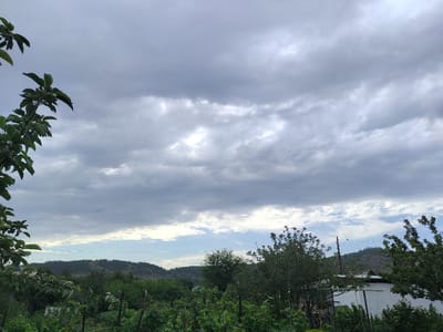 The image depicts a landscape scene in the city of Jaña Būqtyrma, Kazakhstan, under a cloudy sky. In the foreground, lush green foliage and branches from trees are visible, with some unfocused green fruits on one branch on the left. A white structure, possibly a building or shed, is partially visible amidst the greenery in the middle ground. Beyond this, rolling hills covered with trees and sparse vegetation stretch towards the horizon. Power lines are strung across the scene, with a small bird perched on one of them. The sky is filled with dramatic, grey clouds, with patches of lighter sky and sunlight breaking through in the distance. The overall impression is of a rural or semi-rural setting with natural elements dominating the view.