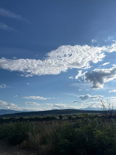 This image depicts a broad, natural landscape under a bright blue sky with scattered white clouds. The foreground is dominated by dense green foliage and tall, dry grasses, suggesting a rural or wild setting. Beyond this vegetation, a rolling, tree-covered hillside stretches across the middle ground, with a hint of yellow fields visible. In the distance, a range of dark, subdued mountains forms the horizon line. The sky is a prominent feature, featuring a large, elongated cloud formation and several smaller, fluffy clouds. The scene appears to be a view of the outskirts of Kalugerovo, Bulgaria, captured during daylight hours. There are no people or specific man-made structures clearly visible.