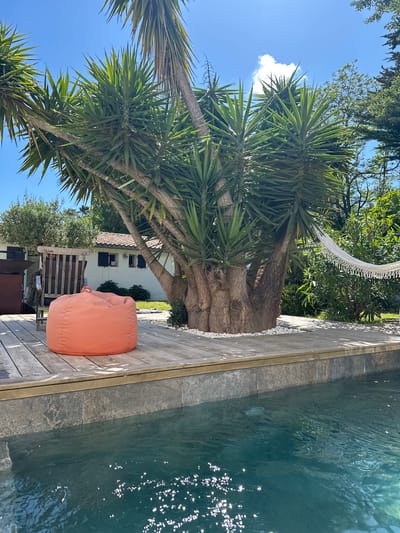 The scene is an outdoor space in La Couarde-sur-Mer, France, featuring a swimming pool bordered by a wooden deck and stone. An orange beanbag chair sits on the deck next to the pool's edge. A large yucca tree dominates the view, its spiky leaves reaching towards a clear blue sky. A hammock is strung among the trees. A wooden chair and other outdoor furniture are partially visible beneath the tree, with a white building with dark shutters in the background. The pool water reflects sunlight.