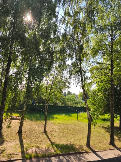 The image depicts a sunlit park area in the city of Rahachow, Belarus. In the foreground, a paved walkway or road is visible, casting long shadows from several birch trees that stand in the mid-ground. These trees have distinctive white bark with black markings and are covered in lush green leaves. Behind the trees, a grassy field stretches out, with patches of dried grass. A small sandbox with some toys is situated to the left of the field, near the base of a birch tree. A green fence runs along the background, separating the park from a wooded area with houses visible in the distance. The sky is bright blue with some sunlight filtering through the tree canopy, creating a dappled effect. The overall impression is a serene, natural setting within an urban environment.