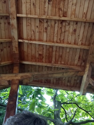 An upward-facing shot shows the wooden underside of a roof structure with visible beams and planking. Below the roof, branches of a tree with vibrant green leaves are visible, interspersed with patches of bright sky. The lower portion of the image includes the back of a person's head, with dark, short hair. This scene is located in the village of Gavrailovo, Bulgaria.