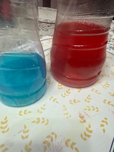 The image shows two glass bottles lying on their sides on a patterned surface. One bottle is filled with a red liquid, and the other with a blue liquid. The patterned surface appears to be a tablecloth or table covering with a white background and a repeating leaf design in yellow. The bottles are positioned next to each other, suggesting they might be related or part of the same setting. The image was taken in San Cristóbal, Mexico.