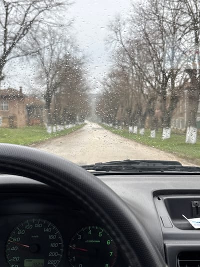 The image depicts a first-person view from within a vehicle, looking forward through a rain-splattered windshield, suggesting precipitation in Suhache, Bulgaria. The external environment shows an unpaved, light-colored road extending straight into the distance, lined on both sides by bare deciduous trees with their lower trunks painted white. Green grass is visible along the roadside. On the left, a light brown building with white-framed windows is partially visible behind the trees. The sky is overcast and grey.
Inside the vehicle, a portion of a black, textured steering wheel is visible in the lower left quadrant. Below the steering wheel, an instrument cluster is partially displayed. The speedometer indicates approximately 50 km/h, and a digital trip meter reads "TRIP 182.4". A tachometer shows the engine speed at roughly 1500-2000 RPM. The dark grey dashboard extends across the bottom of the frame, with black windshield wipers resting at the base of the windshield. To the right of the steering wheel, a small open compartment on the dashboard contains a crumpled piece of white paper. No individuals are visible.