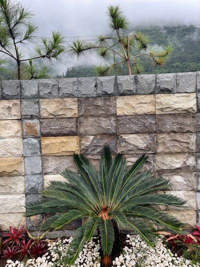 This image depicts a static outdoor scene in Garut, Indonesia, characterized by natural and constructed elements under overcast or misty conditions. The background features a steep, densely vegetated green mountainside partially obscured by thick white-grey mist or fog. Two sparse pine trees with long green needles are visible against this backdrop, extending above a stone wall.

The central subject is a multi-toned stone wall constructed from rectangular blocks of varying sizes and colors, primarily shades of grey, beige, and dark brown. The blocks have a rough, textured surface and are laid in horizontal courses with staggered vertical joints.

In the foreground, at the base of the stone wall, a landscaped garden bed is present. A prominent sago palm (Cycas revoluta) with dark green, radial fronds occupies the center-lower portion of the frame. The base of the palm is surrounded by numerous irregular white pebbles. To the left of the sago palm, a cluster of smaller ornamental plants with deep red foliage is visible against dark soil. No individuals, animals, or active events are captured within the frame.