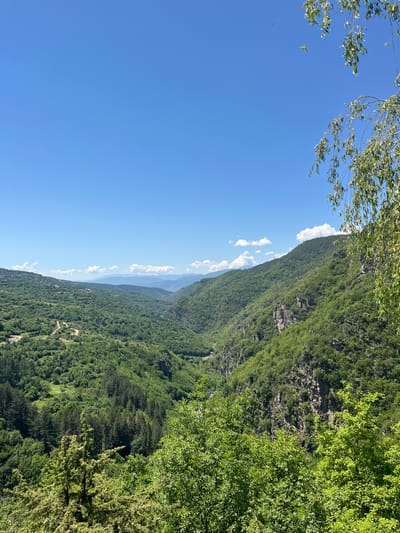 The image shows a landscape with a clear blue sky covering most of the view. A mountain range covered in dense green vegetation occupies the right side of the frame, with rocky outcrops visible along the mountainside. A few wispy white clouds are scattered along the mountain ridge. Some tree branches with leaves are in the upper left corner. The location is likely near Kovachevitsa, Bulgaria, given the mountainous terrain and vegetation.