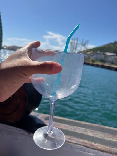A close-up, high-angle shot captures a person's right hand holding a clear plastic goblet-style cup with a light blue bendy straw. The hand grasps the lower part of the cup's bowl, with fingers slightly curled around it. The skin on the hand appears warm-toned and is illuminated by bright sunlight, casting subtle shadows that highlight its contours. The cup itself is transparent and appears empty, showing some minor scuffs or dust on its surface. The light blue straw is inserted into the cup, with its flexible, corrugated section bent outwards from the rim.
The background reveals an outdoor, waterside setting under clear, sunny skies. The upper left portion of the image shows a vivid blue sky with scattered wispy white clouds. Below this, a body of water, likely a river or canal, stretches across the mid-ground. The water is a greenish-blue hue and exhibits numerous small ripples on its surface, indicating movement.
To the far left, a distant landmass or natural bank is partially visible under the bright sunlight, with hints of greenery or structures. On the right side of the image, alongside the water, a dark, textured structure is present, possibly a wooden or concrete dock, pier, or the edge of a boat, showing layered or stepped elements. A dark, circular object, potentially a buoy or boat fender, is partially visible in the lower right corner of the frame, near the water.
The overall impression is one of a bright, sunny day spent outdoors near water, perhaps on a boat or by a waterfront. No specific activity is clearly depicted beyond holding the cup. There is no visible text in the image.