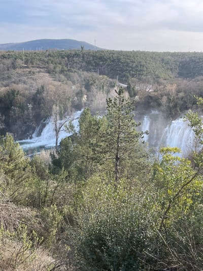 This image captures a panoramic view of the Kravica Waterfall, situated near the city of Zvirići, Bosnia and Herzegovina, observed from an elevated perspective.
The immediate foreground is densely populated with a variety of green shrubs and trees, displaying both vibrant green foliage and some drier, light brown branches and undergrowth. A prominent, dark green conifer tree stands centrally in the midground, partially obscuring the left portion of the waterfalls.
In the midground, the Kravica Waterfall is prominently displayed, consisting of multiple wide, turbulent cascades of white water descending over natural travertine formations into a wider, turquoise-hued river basin. Mist from the falling water is visible, particularly affecting the appearance of the trees and air surrounding the falls. Various deciduous trees, some with bare or sparse branches, and additional green conifers are interspersed around and within the waterfall area.
The background features undulating hills covered extensively with dense, mixed green forestation. Several tall, slender white utility poles are discernible ascending one of the forested slopes on the left. On the distant horizon, at least two communication towers rise above the treeline on a forested peak. A winding, unpaved road or track is visible snaking through the trees on a distant hillside. The sky above is light blue with scattered white cloud formations. No human figures are present in the scene.