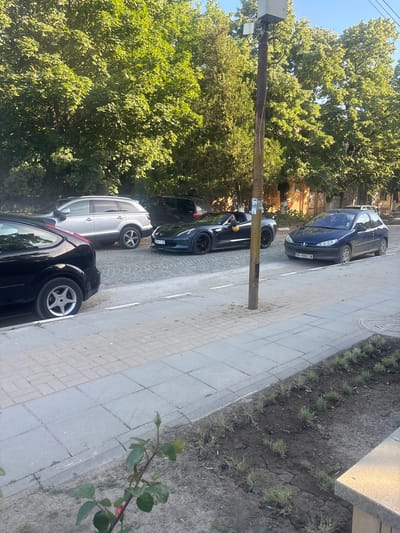 The scene depicts a street in Hayredin, Bulgaria, with several parked cars along the curb. The cars vary in color and model, including a blue Peugeot and a silver minivan. A utility pole stands prominently between the cars and the sidewalk. Dense green trees line the street, providing shade. The sidewalk is made of grey paving stones, and a narrow strip of dry soil with sparse grass separates the sidewalk from a bench or ledge. A young rose bush is visible in the foreground.