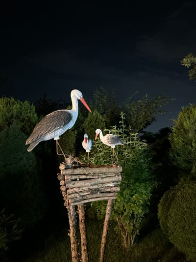 At night, in Agronom, Russia, three artificial storks are positioned on a rustic log nest. The largest stork, standing on the left, is a detailed replica with white and gray plumage and an orange beak. Two smaller storks are situated within the nest, one slightly smaller than the other, also featuring white and gray coloring and orange beaks. The nest is constructed from rough logs and supported by two upright logs. Surrounding the nest is a dense, dark green foliage, comprising various bushes and trees. The background is dark, suggesting a nighttime scene, with faint indications of clouds and possibly distant lights in the sky.
