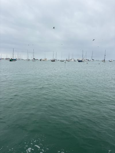 The image depicts a wide shot of a harbor in La Punta, Peru, under a cloudy sky. The foreground is dominated by the choppy, dark green water of the bay, with some white foam visible on the left side. In the middle ground, a fleet of sailboats and motorboats are anchored, their masts forming a dense, vertical pattern against the horizon. The boats vary in size and color, with some appearing to be white or light-colored, while others are darker. A few birds are visible in flight against the overcast sky. The background shows a hazy line of buildings, suggesting the proximity of the shore. The overall atmosphere is calm, with a sense of stillness in the harbor despite the movement of the water and the presence of flying birds.