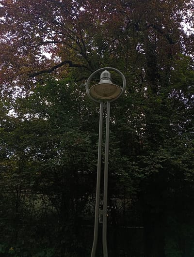 The image shows a tall, slender, grey metal lamppost with a circular top element holding a single lamp. The lamppost is positioned in front of a dense canopy of trees, some of which have leaves showing autumn colors of red and brown, while others are a deep green. The sky is visible through some gaps in the foliage, appearing overcast. The lower part of the image is dominated by dark green foliage and shadows, suggesting a densely wooded or overgrown area. There are no people visible in the image. The lamppost appears to be a standard outdoor lighting fixture. The location is identified as Konstanz, Germany.