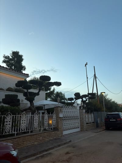 The image depicts an outdoor scene in Cambrils Badia, Spain, likely during dusk. The perspective is tilted, giving a sense of looking upwards or at an angle. The primary subjects are architectural elements and landscaping.

Dominating the foreground is a white, ornate metal fence with a repeating floral pattern, bordering a property. Behind the fence, a house with a light-colored facade is visible, partially obscured by meticulously pruned trees. These trees, shaped in a topiary style, add a formal and artistic touch to the landscaping. One particularly large, gnarled tree with sculpted branches is a focal point.

To the right of the fence, a paved road runs alongside a brick wall. Parked on the road is the rear of a black SUV with the license plate "1882 KXY". A portion of a red vehicle is visible in the lower right corner of the image.

In the background, a street light on a pole illuminates, casting a warm glow, and overhead power lines are visible. The sky is a clear, pale blue, with a few wispy clouds scattered towards the horizon. The presence of the street light and the soft lighting suggest that the sun has recently set or is about to rise, placing the time of day in the twilight hours. The overall impression is one of a well-maintained residential area.
