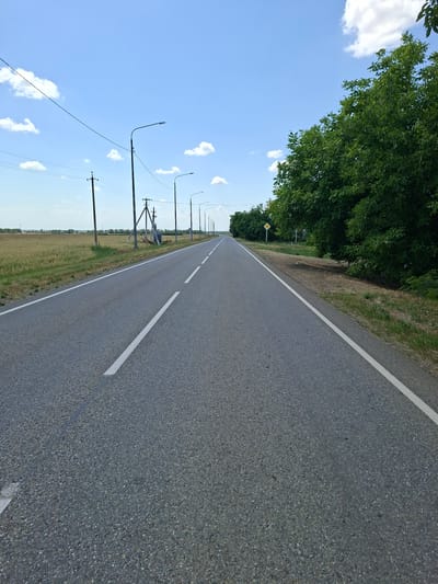 An asphalt road with white lane markings stretches into the distance under a bright blue sky with scattered white clouds. The road is lined on the left by a field of dry grass and on the right by a dense line of green trees. Several tall, dark poles with power lines are visible on the left side of the road, and a few streetlights are also present along the route. A yellow diamond-shaped sign with a black border is positioned by the trees on the right side. The scene appears to be in a rural or suburban area, possibly on the outskirts of Gorkovskiy, Russia, given the presence of agricultural fields and power infrastructure. There are no people or vehicles visible in the image.