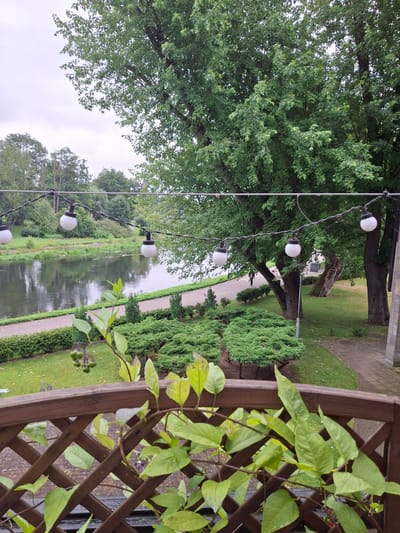The image depicts an outdoor scene, likely a park or a garden area adjacent to a body of water, possibly a river or canal. The perspective is from a raised vantage point, looking down and across. In the foreground, a wooden lattice fence is visible on the right, with green vines and leaves growing over it. In the middle ground, a pathway runs alongside the water, bordered by manicured green hedges and lush trees. String lights with white bulbs are strung across the scene, hanging above the pathway and water, suggesting an evening or overcast day setting. The water itself reflects the overcast sky and the surrounding greenery. In the background, more trees and vegetation fill the landscape, with a large, mature tree dominating the left side of the frame. A single person can be seen walking on the pathway in the distance, adding a sense of scale and human presence to the otherwise natural setting. The weather appears to be overcast or cloudy, contributing to a soft, diffused light. The scene evokes a peaceful and tranquil atmosphere, characteristic of a serene outdoor recreational area. There is no visible text in the image. The location context is Pila, Poland.