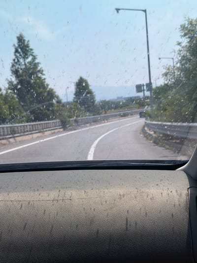 This image depicts a view from inside a vehicle, looking out through a dirty windshield. The vehicle appears to be on a highway or a road with multiple lanes, possibly a section of the Gyeongbu Expressway in Cheonan-si, South Korea, given the surrounding environment. The road curves to the right and is bordered by a concrete barrier and vegetation on the right side. On the left side of the road, there is a parallel barrier. Streetlights are visible along the roadside, with one prominent streetlight in the mid-ground. Trees, primarily coniferous, are scattered throughout the landscape. The sky is overcast with a hazy, light blue hue. The foreground of the image shows the textured dashboard of the vehicle, which is also speckled with dirt or dust. The overall scene suggests a travel scenario, with the dirt on the windshield indicating the vehicle has been driven through a dusty or possibly wet environment. No people are visible in the frame.