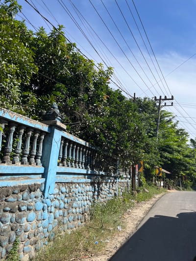 The image shows a street scene in Bukitrata, Indonesia. A light blue, ornate concrete fence with a stone base runs along the left side of the road. The fence is adorned with decorative balusters and a small sculpted ornament on a pillar. Beyond the fence, dense green foliage is visible. Overhead, a network of electrical wires crisscrosses the clear blue sky. On the right side of the road, a paved asphalt road curves away, with a grassy shoulder and some scattered litter. There are several yellow road signs with black arrows indicating curves in the road. A utility pole with insulators and wires stands amidst the trees on the right. The overall impression is a tropical roadside environment bathed in bright sunlight.