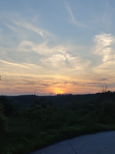 The scene depicts a sunset over a natural landscape in Pisanets, Bulgaria. The sky is divided into a light blue upper section with wispy white clouds, transitioning to a warm band of yellow, orange, and pink hues near the horizon, reflecting the setting sun. A faint, linear contrail is visible in the upper-left sky. The sun itself, a bright orange-yellow light source, is centered on the horizon, partially concealed by a dense, dark silhouette of trees and hills. This heavily forested terrain occupies the entire midground, appearing dark green to black due to the backlighting. In the foreground, a dark grey paved road curves from the lower-right corner towards the lower-center. Adjacent to the road and across the lower portion of the image is dense, dark green foliage, largely indistinct due to the low light. No human subjects, animals, or artificial structures apart from the road are present in the frame.