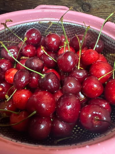A close-up photograph depicts a pink colander filled to near capacity with fresh, red cherries, still bearing their green stems. The cherries exhibit varying shades of red, with some darker than others, and are coated with small droplets of water. The colander is situated on a wooden surface, with the pink rim of the colander and the dark holes of its inner section visible. The location, Малая Рукавицкая, Russia, is extraneous to the information present in the image.