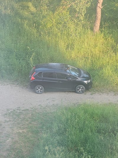 The image shows a black hatchback car parked on a dirt road. The car is positioned at an angle, with its front facing left and its rear to the right. The road is surrounded by tall green grass and some trees. The scene appears to be in a rural or semi-rural setting. No people are visible in the image. The lighting suggests it is daytime, possibly late afternoon due to the warm tones of the sunlight filtering through the foliage. The location is identified as Taezhnoye, Russia.