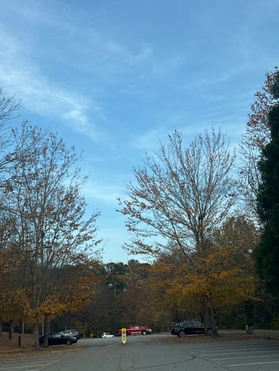 A parking lot scene under a blue sky with wispy clouds. Bare trees with sparse brown leaves line the edges of the lot. Several parked cars, including a red pickup truck and dark sedans, are visible. A yellow and white sign stands near the red truck. Foliage and trees form the background.