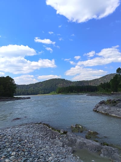 A wide, grey river flows through a valley with forested hills on either side. The sky is blue with scattered white clouds. The foreground features a rocky shore and a patch of grass. On the left, a dense pine forest covers the hillside. On the right, the river bends around a rocky outcrop. The image appears to be taken on a sunny day, with the water reflecting the sky and trees. There are no people visible in the image.