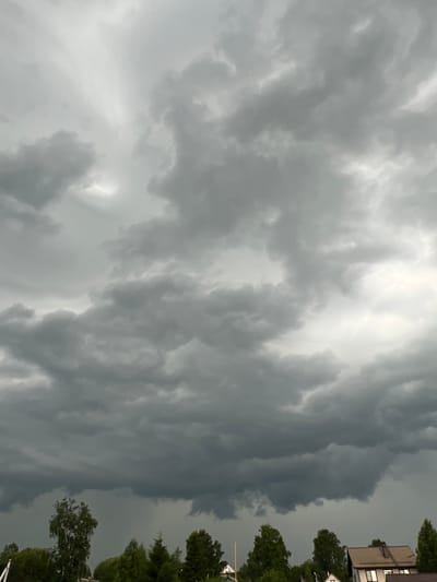 This image depicts an overcast sky with dark, heavy clouds, suggesting impending rain or a storm. The scene is set in Enkolovo, Russia, with the tops of trees and several houses visible at the bottom of the frame. The overall atmosphere is gloomy and somber. There are no people or animals visible in the image. The sky dominates the frame, with swirling patterns of gray and white clouds. A few houses with pitched roofs and windows are visible amidst the trees. The foliage is lush green, indicating a temperate climate. The lighting is dim and diffused due to the cloud cover.