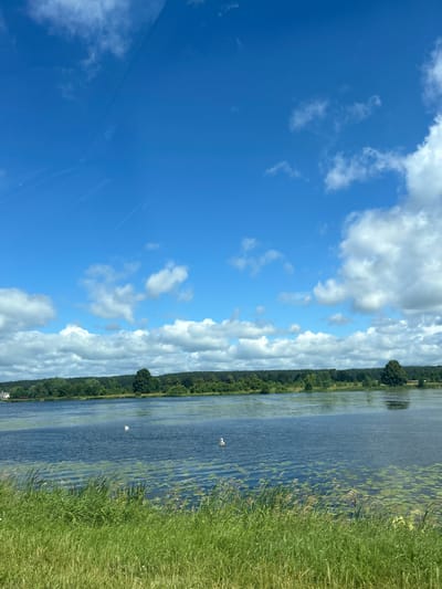 A wide shot captures a serene natural landscape under a bright blue sky with scattered white clouds. In the foreground, lush green grass sways gently. Beyond the grass, a calm, blue body of water stretches across the middle ground. The water is dotted with patches of lily pads and features two white swans swimming gracefully. In the distance, a dense line of green trees forms the horizon, punctuated by a few taller trees and a glimpse of a white building on the far left. The scene is reminiscent of a tranquil lakeside or riverbank in the Валожынскі сельскі Савет area of Belarus.