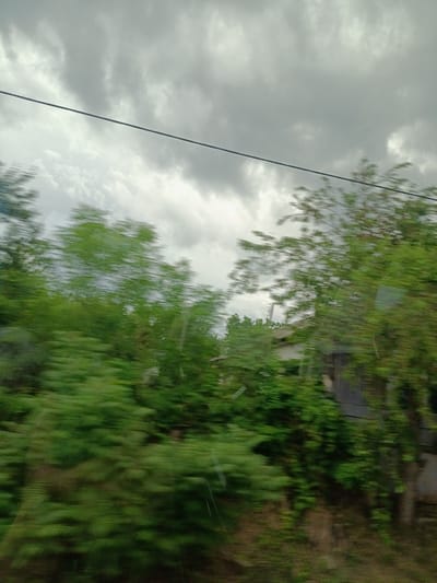 The image depicts a blurry, motion-blurred view of trees and a building, likely taken from a moving vehicle. The sky is overcast with gray clouds. A thin, dark wire stretches horizontally across the upper portion of the frame. In the distance, a portion of a building with a dark roof is visible behind the dense foliage of trees. The overall scene suggests an outdoor environment, possibly a rural or suburban area, given the presence of trees and a building. There are no people or discernible actions in the image. The motion blur indicates movement, either of the camera or the subject. The location is specified as Saratovskaya, Russia.