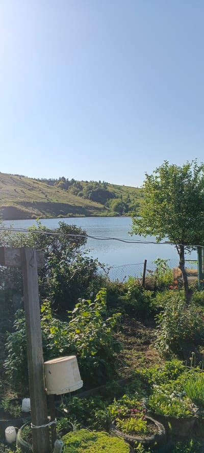 This is a vertical, medium-shot, outdoor photograph taken on a clear, sunny day in Кощаково, Russia. The scene depicts a lakeside view with a lush, green foreground. In the foreground, a wooden post with a white bucket hanging from it stands to the left. Surrounding the post is dense foliage, including bushes and plants in various stages of growth, some of which are in makeshift planters made from tires. A wire fence runs horizontally across the mid-ground, separating the garden from the lake. Beyond the fence, a calm, blue lake stretches towards a gently sloping, green hill covered with grass and scattered trees. The sky is a clear, bright blue. The overall impression is one of a peaceful, rural landscape.