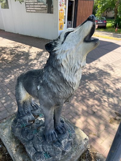 A statue of a wolf howling is positioned on a stone and rock base in front of a building with a light-colored corrugated metal facade on the left. The wolf statue is gray and white, with a textured mane and fur. It stands on a rough, dark gray rock formation adorned with small green decorative plants. The ground around the statue is paved with reddish-brown brick pavers, partially covered by dappled shadows cast by overhead trees. To the right of the statue, a dark cylindrical object, possibly a railing or pole, is visible. In the background, a building with a wooden facade is present, and beyond that, a dark-colored car is parked on a grassy area. The scene appears to be an outdoor public space, possibly in a town or village. The location is identified as Takhtamukai, Russia.