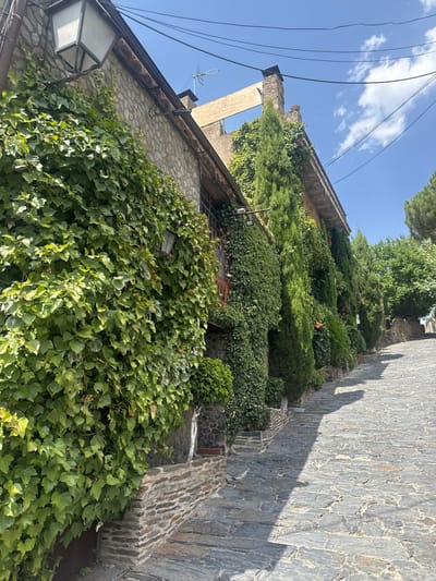 The image depicts a charming, narrow, stone-paved street in Patones De Arriba, Spain, a historic village known for its slate architecture. On the left, a building is covered in lush green ivy, with a vintage-style lantern attached to the stone wall. Further up the street, on the right, a row of tall, slender cypress trees line the path, also partially obscured by greenery. The architecture of the buildings suggests traditional construction, with stone walls and tiled roofs visible. The sky above is a clear blue with scattered white clouds. The street slopes upwards and curves slightly to the right, casting a distinct shadow across the cobblestones. The overall impression is one of tranquility and rustic beauty, characteristic of old European villages. There are no people visible in the frame, and no actions or interactions are taking place.