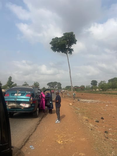 A blue minivan, license plate LFA 291 XB, is parked along the side of a narrow asphalt road in Karshi, Nigeria. Luggage is strapped to the roof of the minivan. A man in dark clothing stands near the driver's side, interacting with someone in the car. Another person in a pink garment is partially visible near the car. The road is bordered by dirt and sparse vegetation. In the background, several people are visible. A distinctive tall tree with foliage at its top stands out in the landscape. The sky is cloudy.