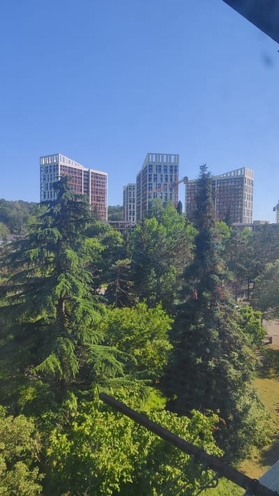 The image shows a view of modern high-rise buildings in Dagomys, Russia, set against a clear blue sky. The buildings are characterized by their distinct architectural design with white outer frames and patterned facades. In the foreground, a dense array of lush green trees, including large coniferous trees and smaller deciduous trees, partially obscures the view of the buildings. The trees are in full foliage, indicating a warm season. A dark, metallic structure, possibly a railing or part of a building, is visible in the lower portion of the frame, running diagonally across the foreground. The overall scene suggests a residential or mixed-use development located within a green, possibly hilly, environment. The presence of construction cranes in the background hints at ongoing development or expansion in the area. The lighting indicates it is daytime, with sunlight illuminating the scene.