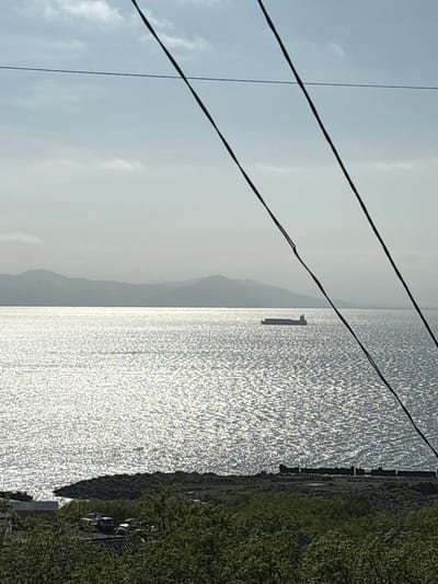 The image shows a bright, shimmering expanse of water under a hazy sky, with a distant mountainous horizon. In the middle distance, a cargo ship is visible on the water. In the foreground, trees and some structures, including vehicles, are present on the land. Overhead, three dark power lines stretch across the frame, obscuring parts of the sky and landscape.